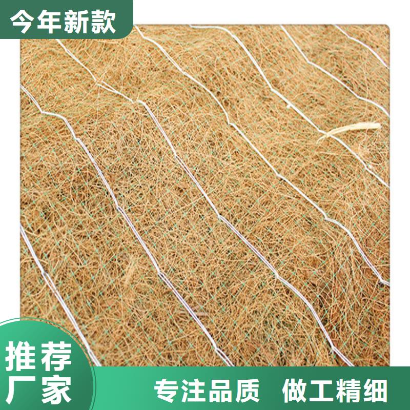 植物纤维毯护坡植被植草毯