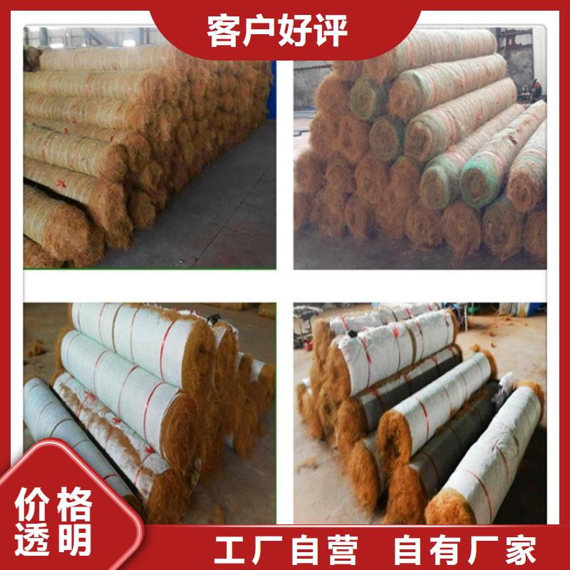 椰纤植生毯生态环保草毯
