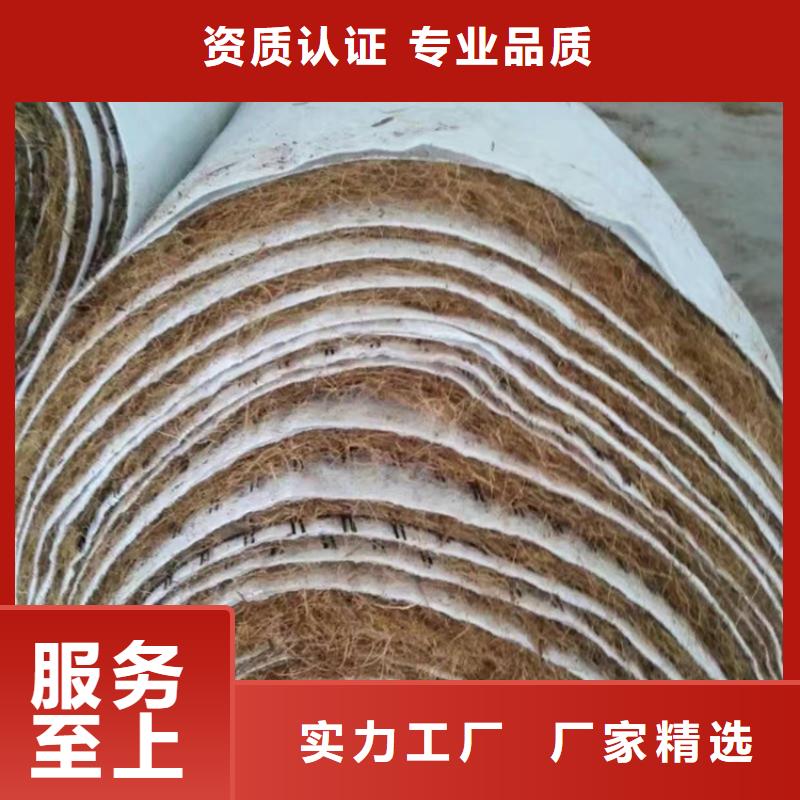 椰丝毯-生态护坡草毯-水保植物纤维毯