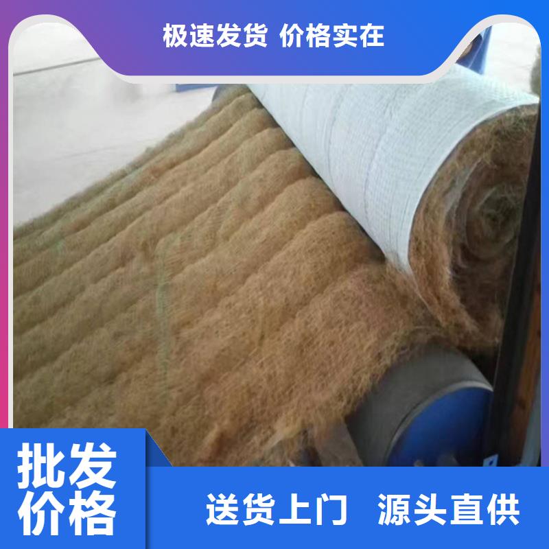 椰纤植生毯加筋抗冲生物毯当地供应