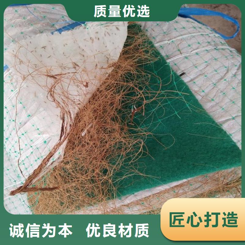 护坡抗冲植草毯-加筋复合抗冲生态毯