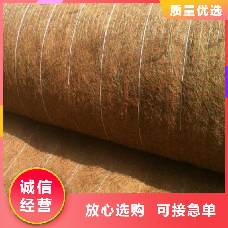 抗冲生态毯-椰丝生态植物毯-加筋麻椰固土毯