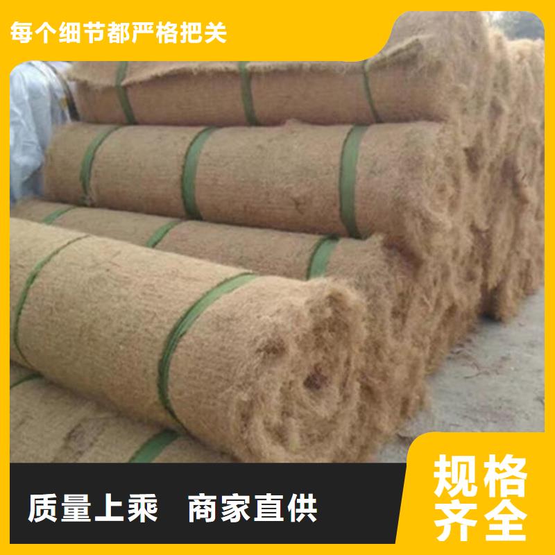 加筋抗冲生物毯-生物草毯生态垫