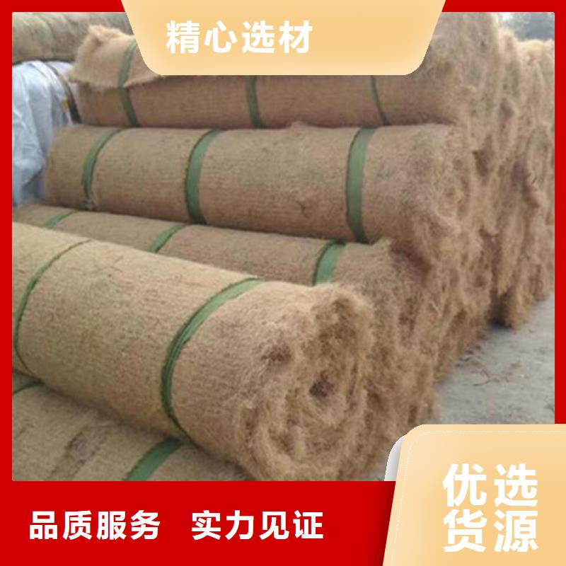 植生椰丝毯加筋抗冲生态毯边坡防护-加固