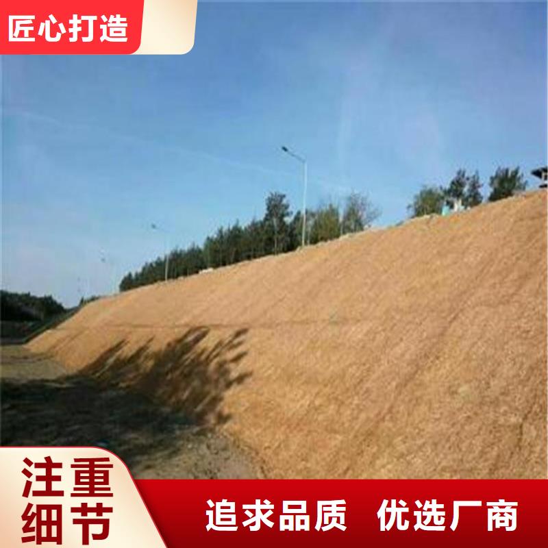 护坡抗冲植草毯-加筋复合抗冲生态毯
