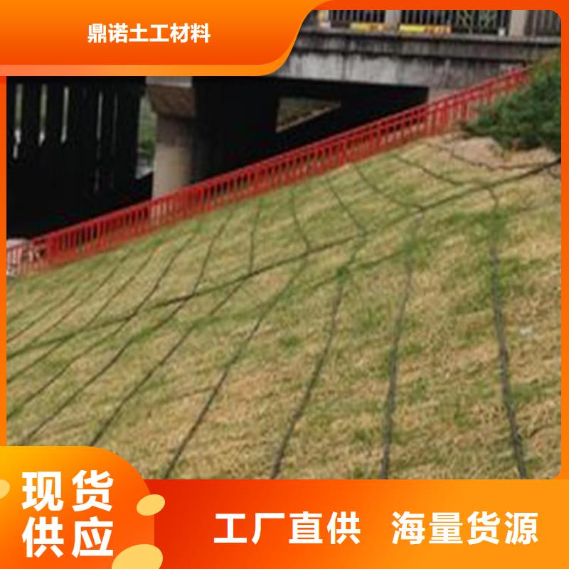 椰纤植生毯植物纤维毯供应商