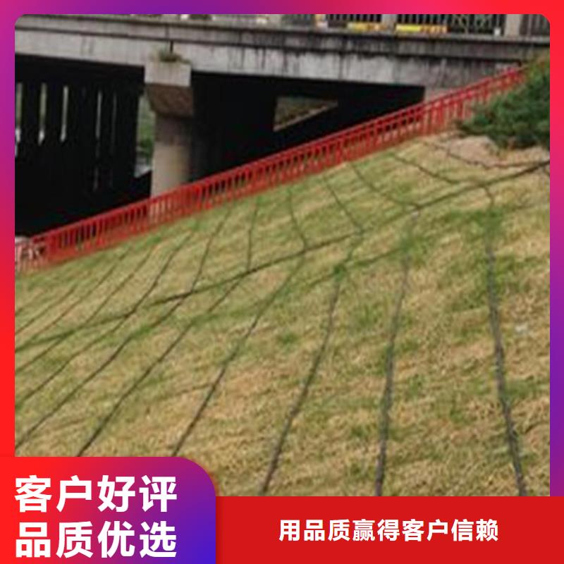 加筋抗冲生物毯生产厂家/哪里有卖的