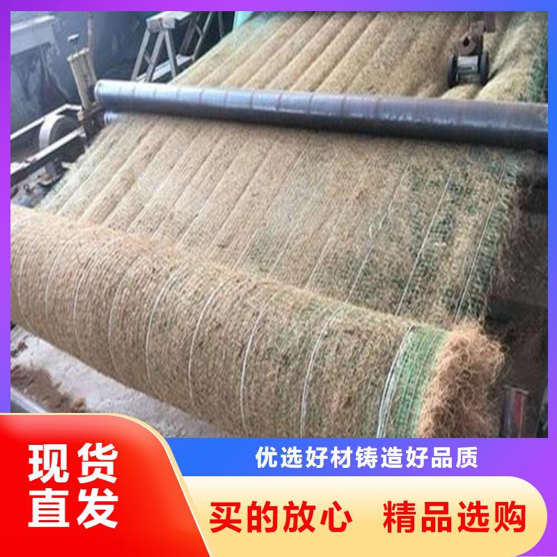 植物生态防护毯-椰丝纤维毯
