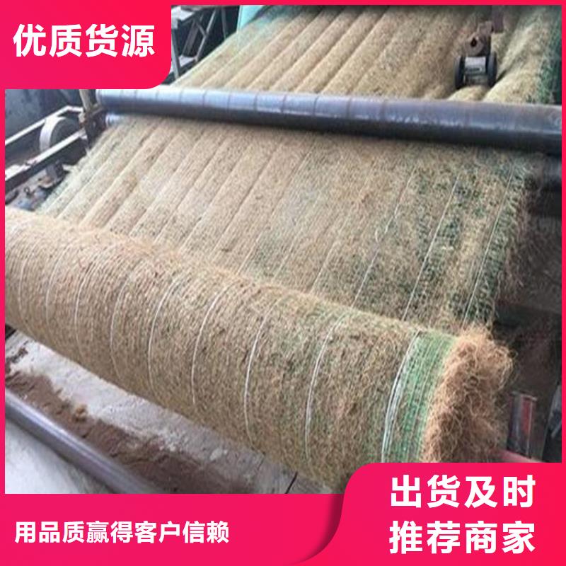 加筋复合抗冲生态毯-麻椰固土垫