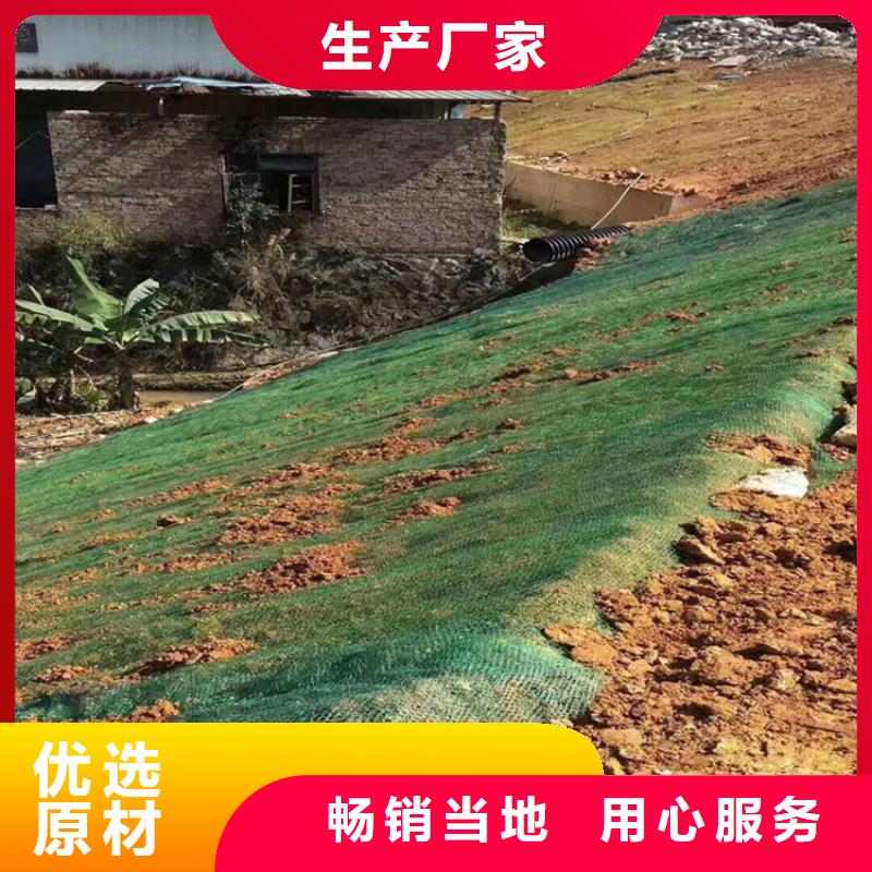 环保植生绿化毯-护坡绿化椰丝毯