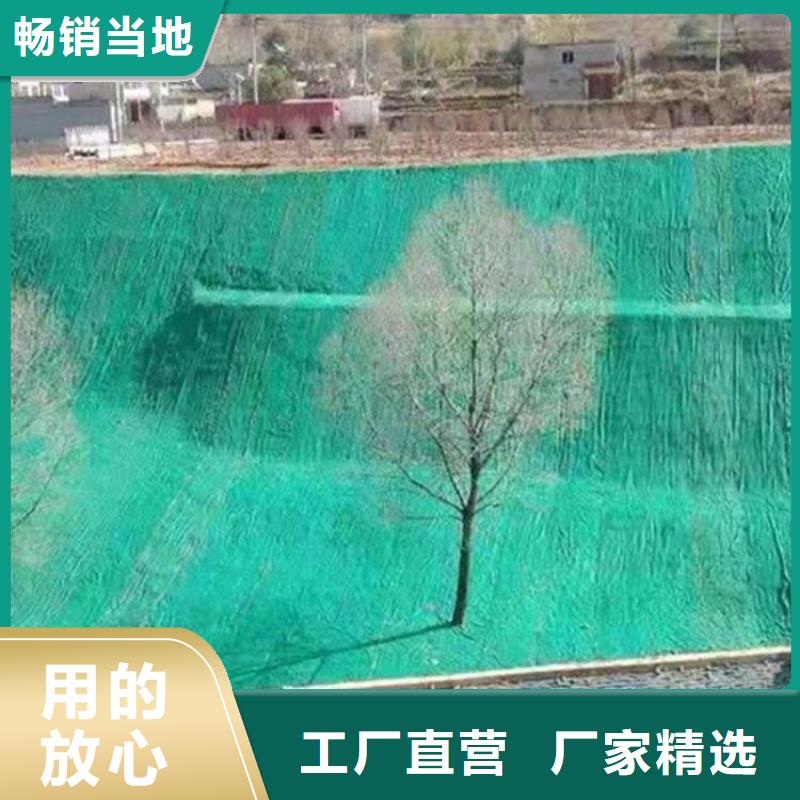 椰丝毯-护坡生态毯-椰丝毯土工格栅