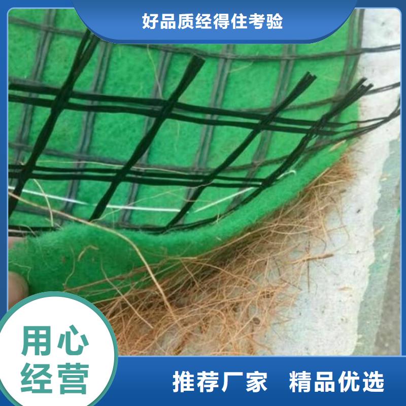 椰纤植生毯植物纤维毯施工队伍