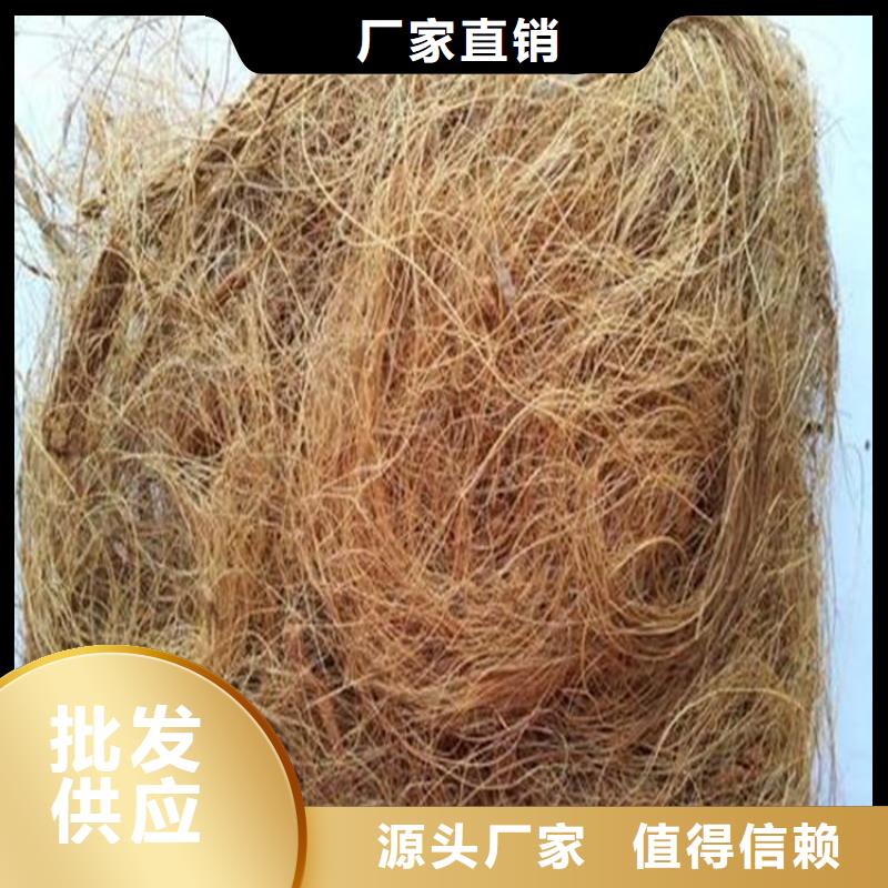 加筋植物纤维毯-生态毯-边坡植物纤维毯