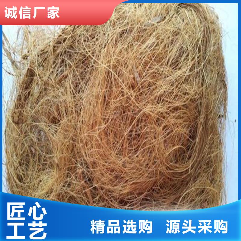 植生椰丝毯护坡植被植草毯