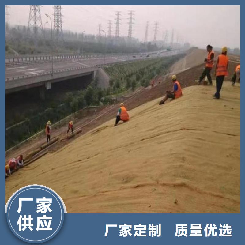 椰丝毯-抗冲加筋生态毯-植生草毯