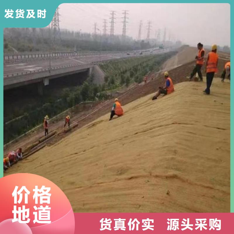 护坡植被植草毯-加筋抗冲生态毯环保领域施工
