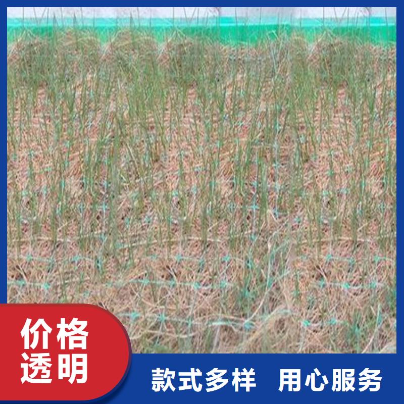 加筋抗冲生物毯-植生椰丝毯价格参数