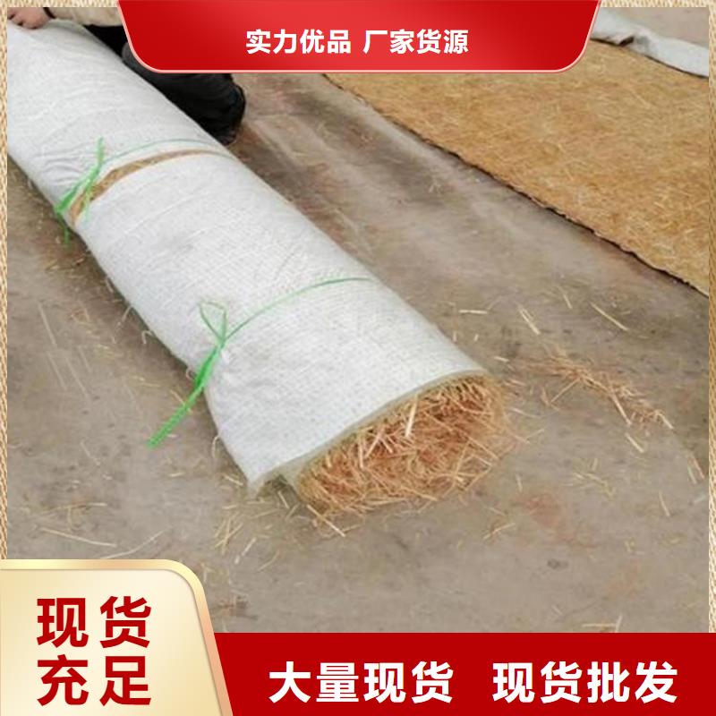 生态环保草毯-植生椰丝毯施工案例