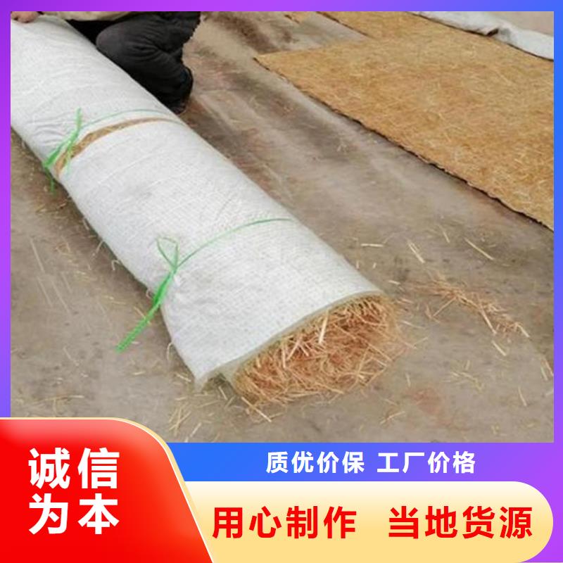 护坡植被植草毯-加筋抗冲生态毯本地批发