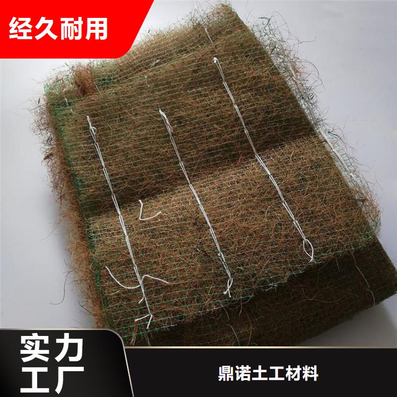 植生椰丝毯加筋抗冲生物毯