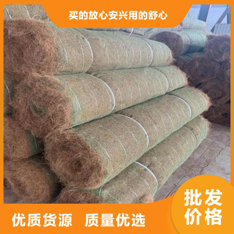 椰丝植生毯-生态植被毯-绿化草毯