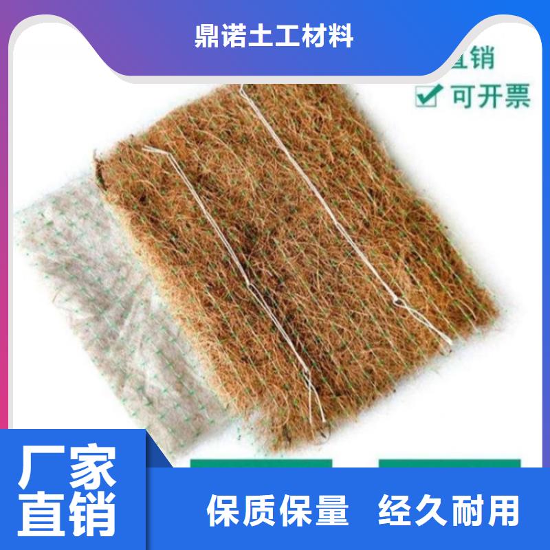植生椰丝毯加筋抗冲生态毯边坡防护-加固