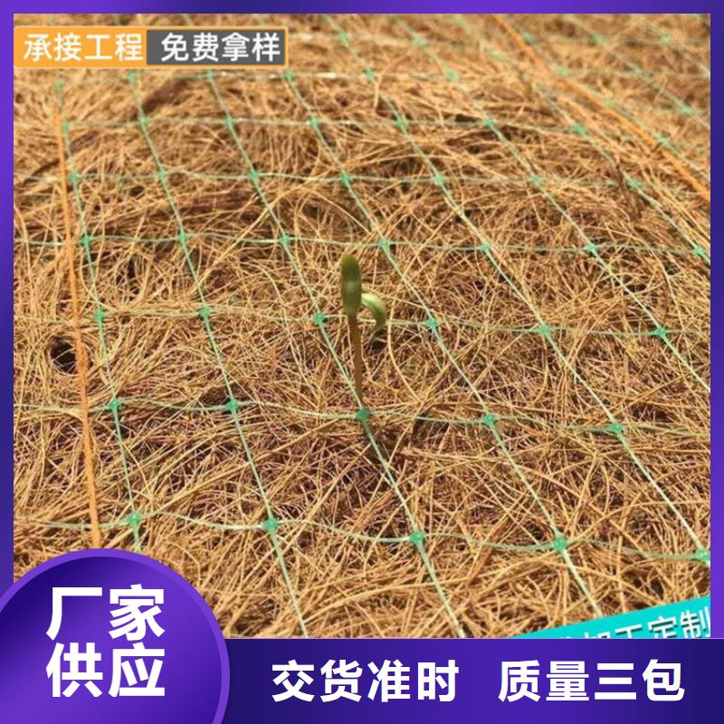 植生椰丝毯加筋抗冲生态毯边坡防护-加固