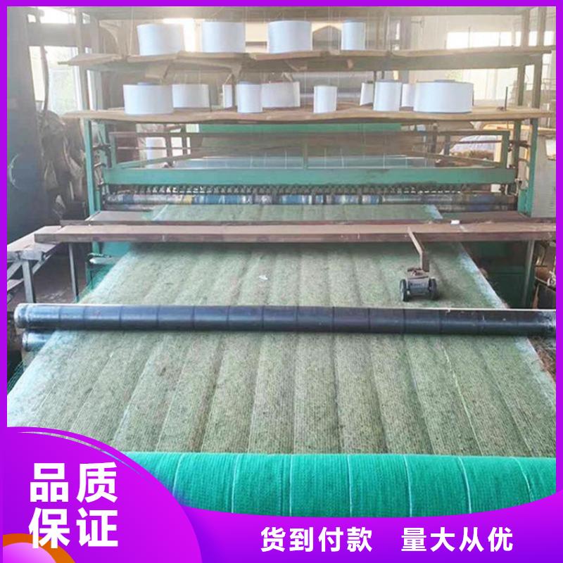 植物纤维毯-绿化毯-防冲毯