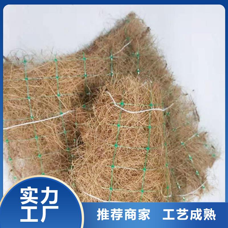 香港生态环保草毯-生态植草毯
