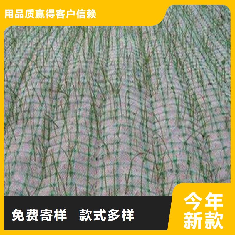 椰丝毯-麻椰植被毯-护坡椰丝毯