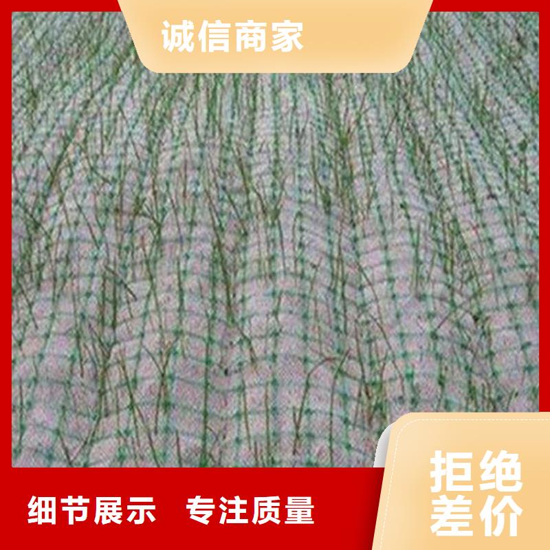 椰丝毯-护坡生态毯-椰丝毯土工格栅