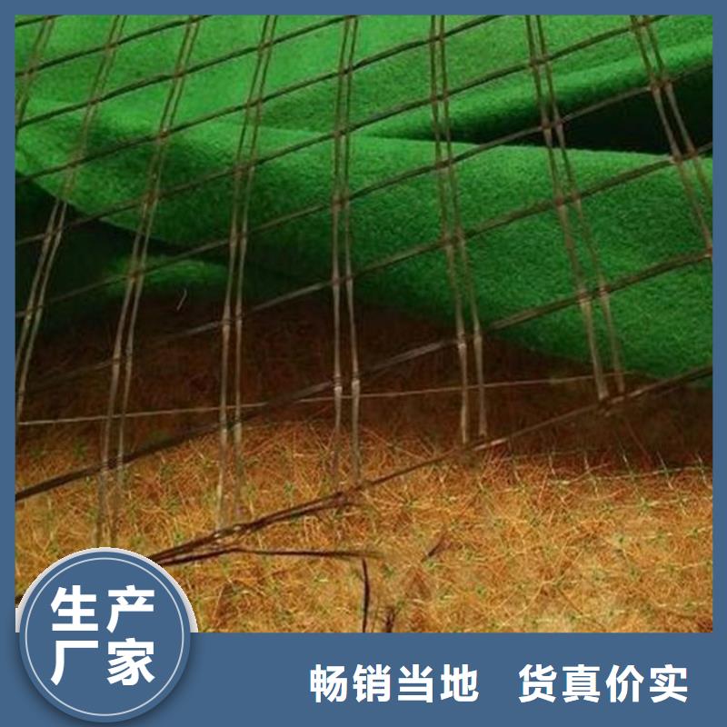 植物生态防护毯-椰丝纤维毯