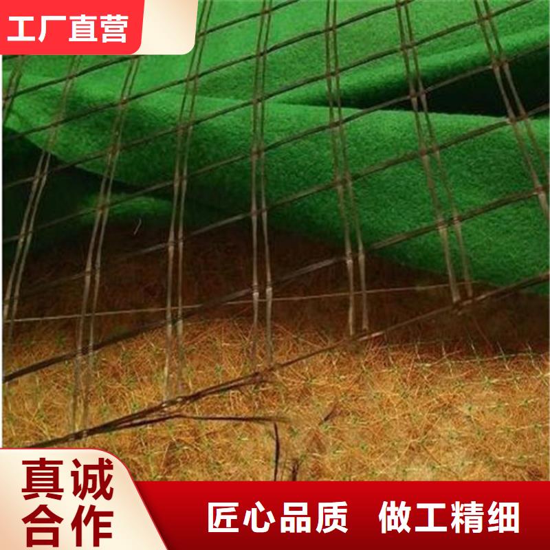 植物生态防护毯-护坡生态毯