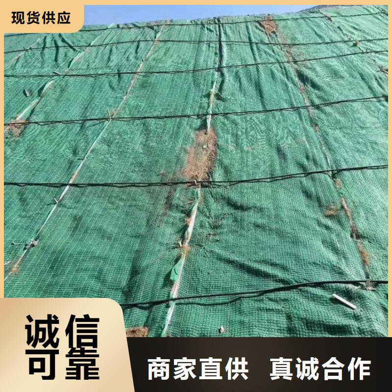椰丝植生毯-椰丝植物毯-椰丝植生毯