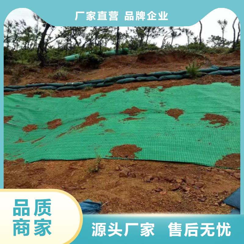加筋植物纤维毯-生态毯-边坡植物纤维毯