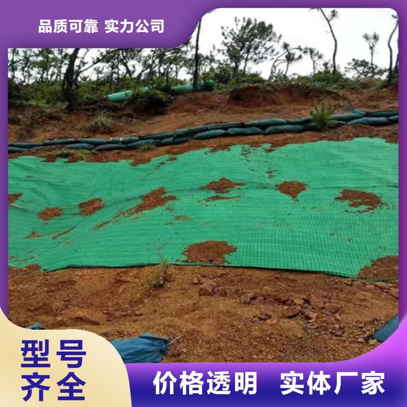 植生椰丝毯护坡植被植草毯厂家直供