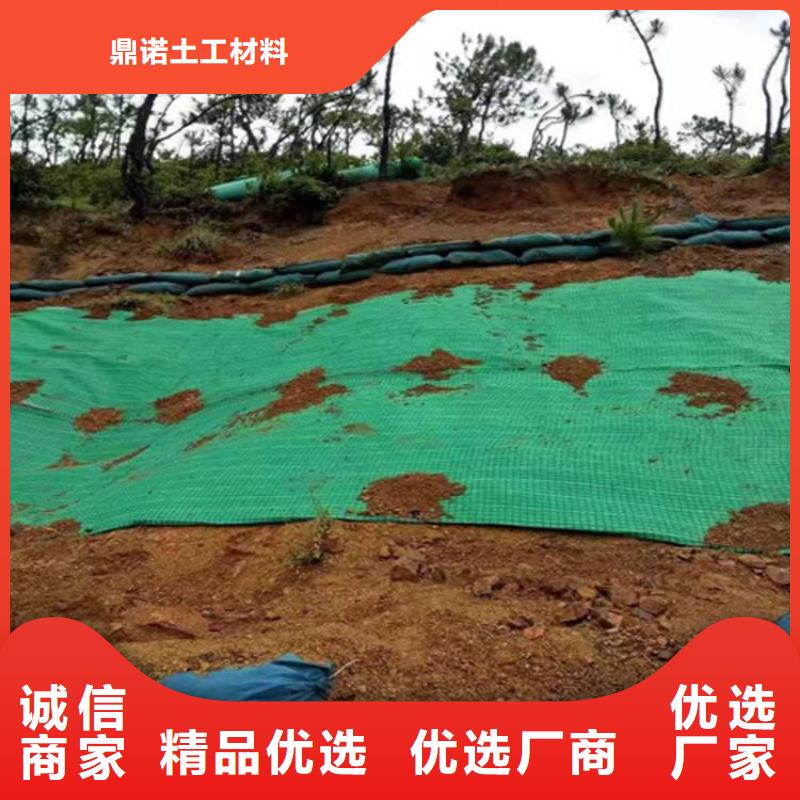 三沙市纤维椰垫-护坡椰丝毯