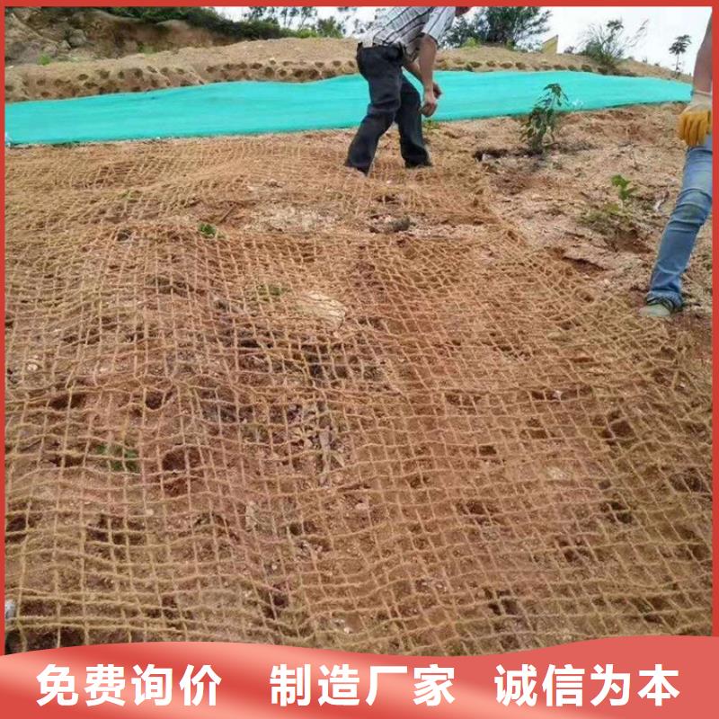 椰纤植生毯加筋抗冲生物毯当地供应