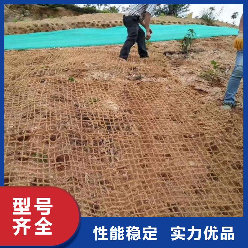 椰纤植生毯植物纤维毯供应商