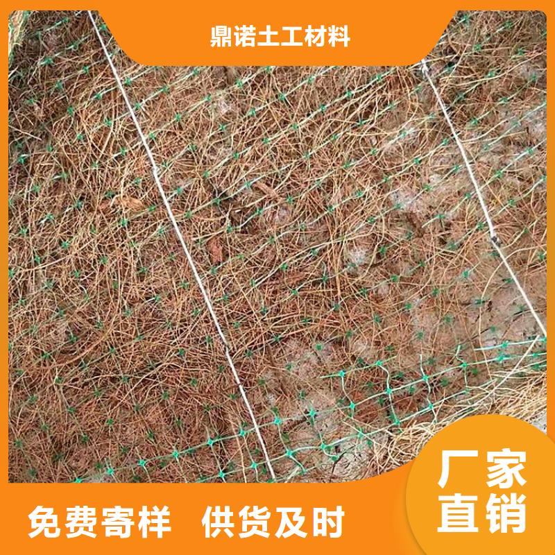 椰丝毯-麻椰固土毯-椰丝抗冲毯