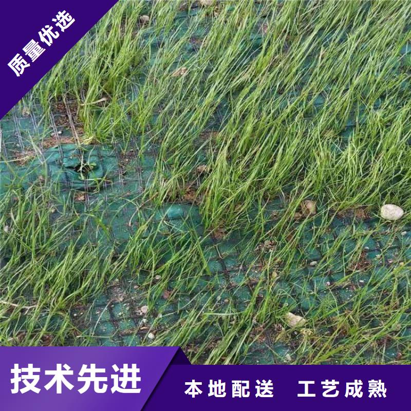 加筋抗冲生物毯-生物草毯生态垫