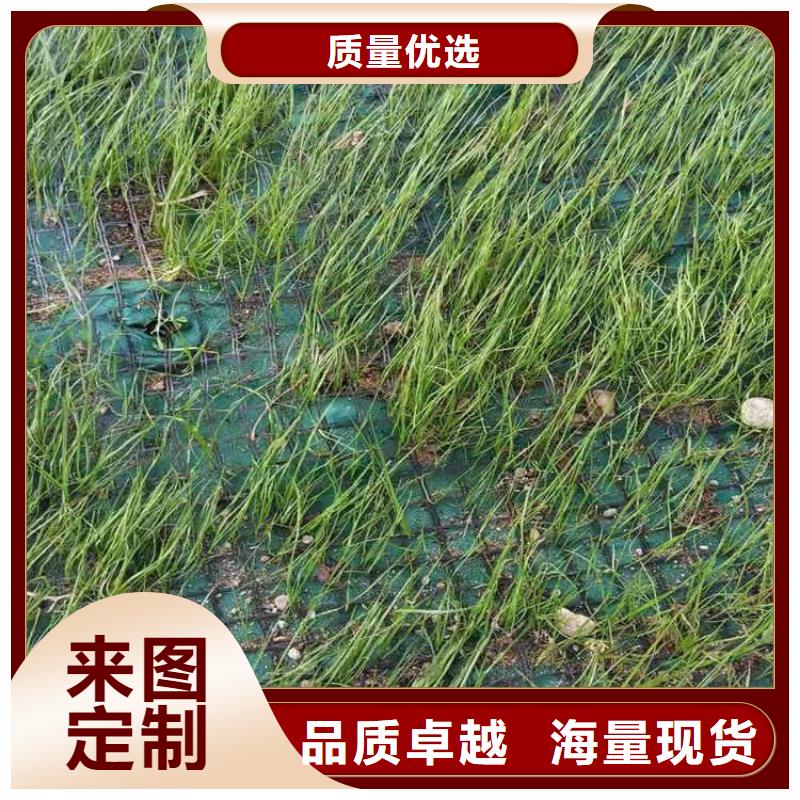椰丝毯,玻纤格栅精工细致打造