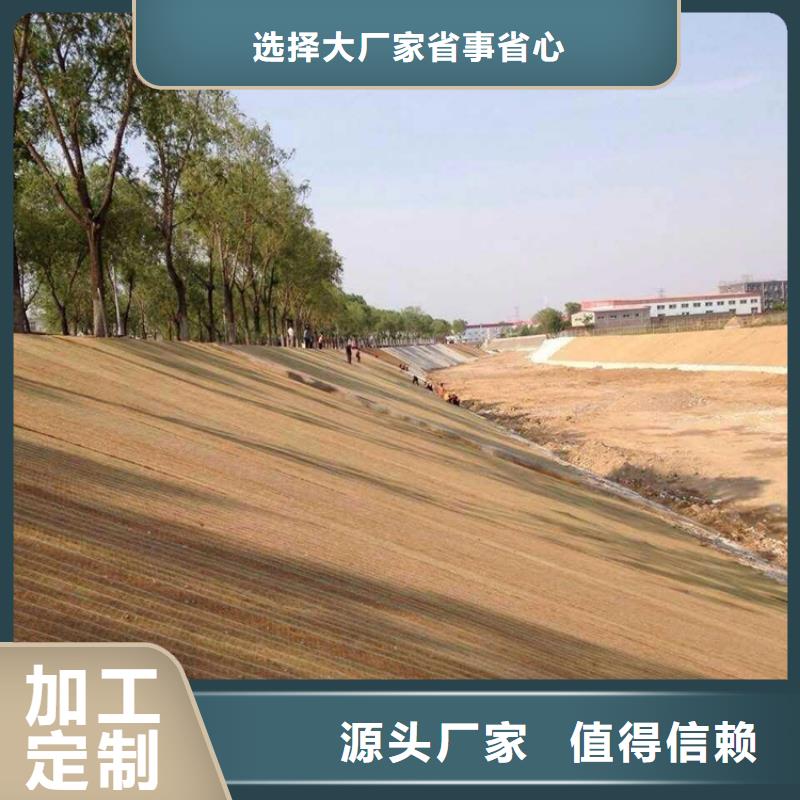 抗冲生态毯-生态植被垫-带草籽环保草毯