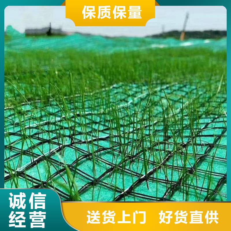 生产加工<鼎诺>椰丝植物纤维毯-椰纤植生毯-水保植生毯