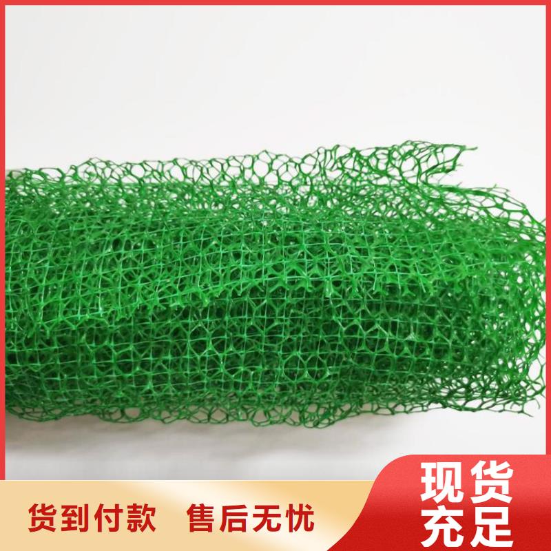 三维土工网垫-EM4三维护坡植草网垫