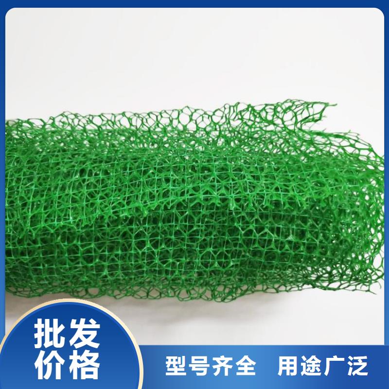 EM5绿化三维土工网垫