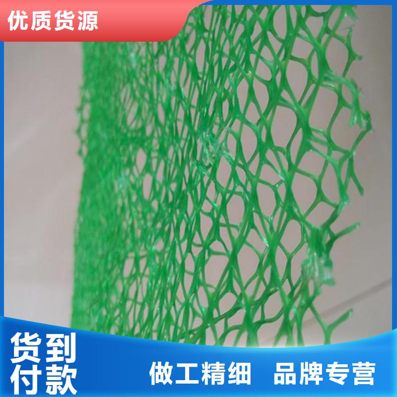 三维土工网垫-EM5三维加筋网垫