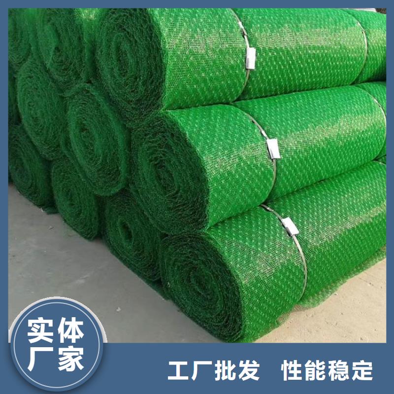 三维植被网诚信厂家
