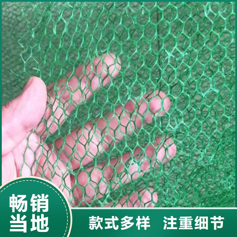 三维土工网垫层层检测