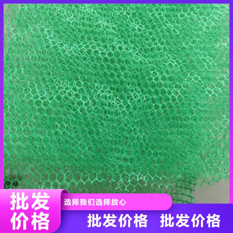 三维植草网垫边坡草皮